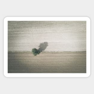 Single tree on agricultural field Sticker